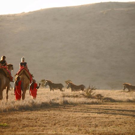 Elewana Lewa Safari Camp Hotel Timau Exterior photo