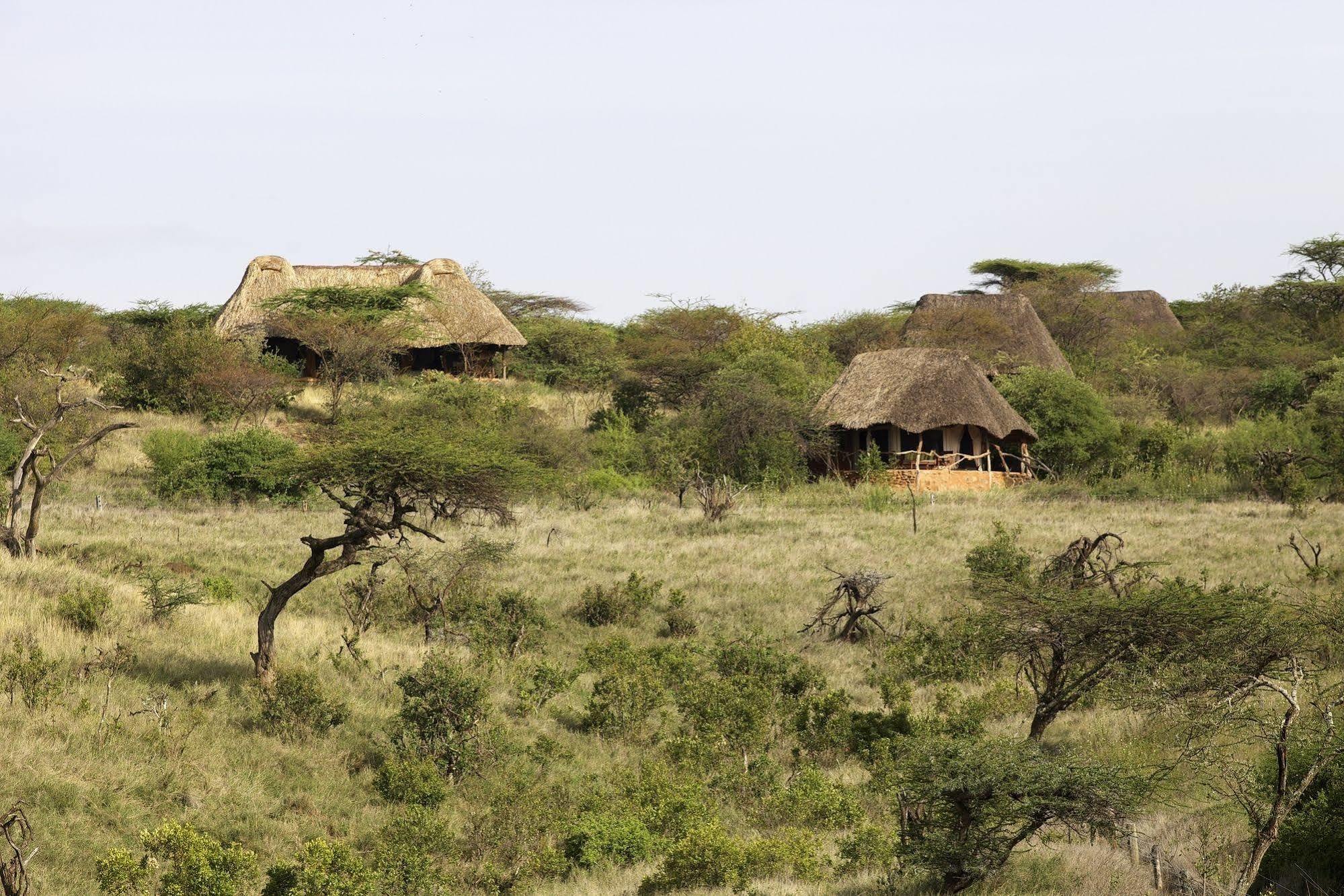 Elewana Lewa Safari Camp Hotel Timau Exterior photo