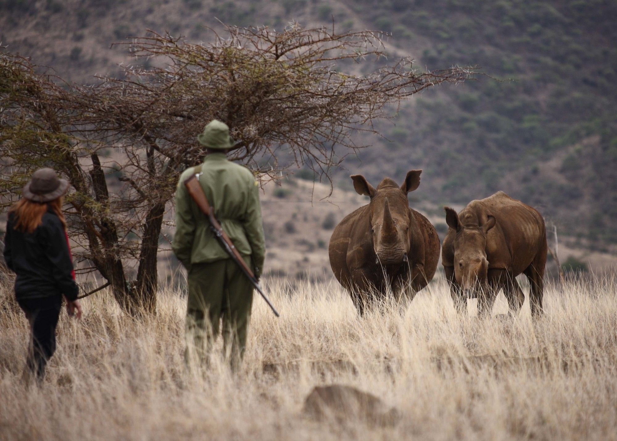 Elewana Lewa Safari Camp Hotel Timau Exterior photo
