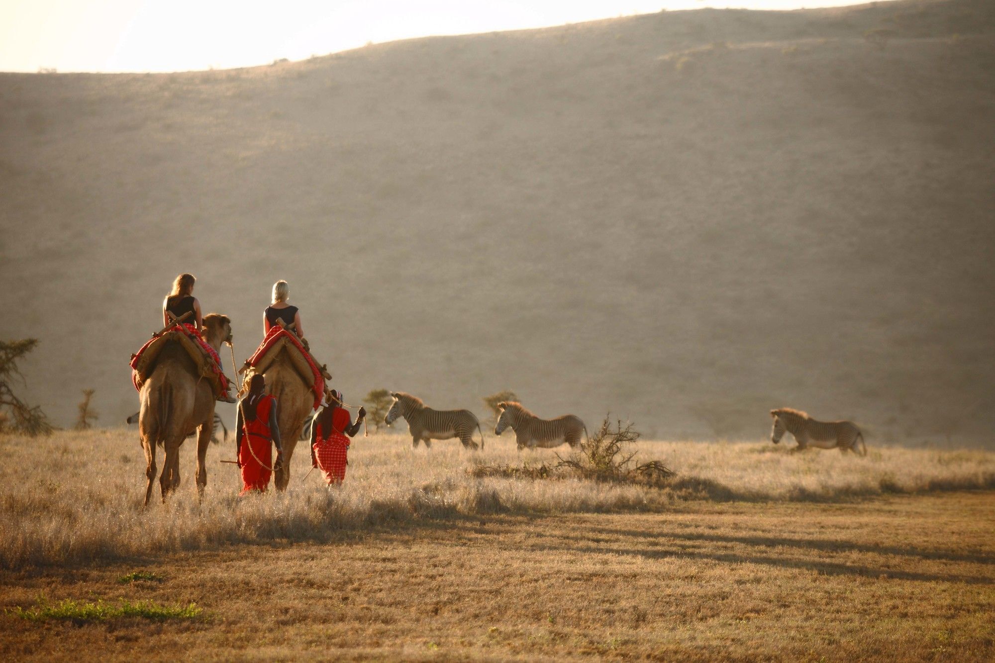 Elewana Lewa Safari Camp Hotel Timau Exterior photo