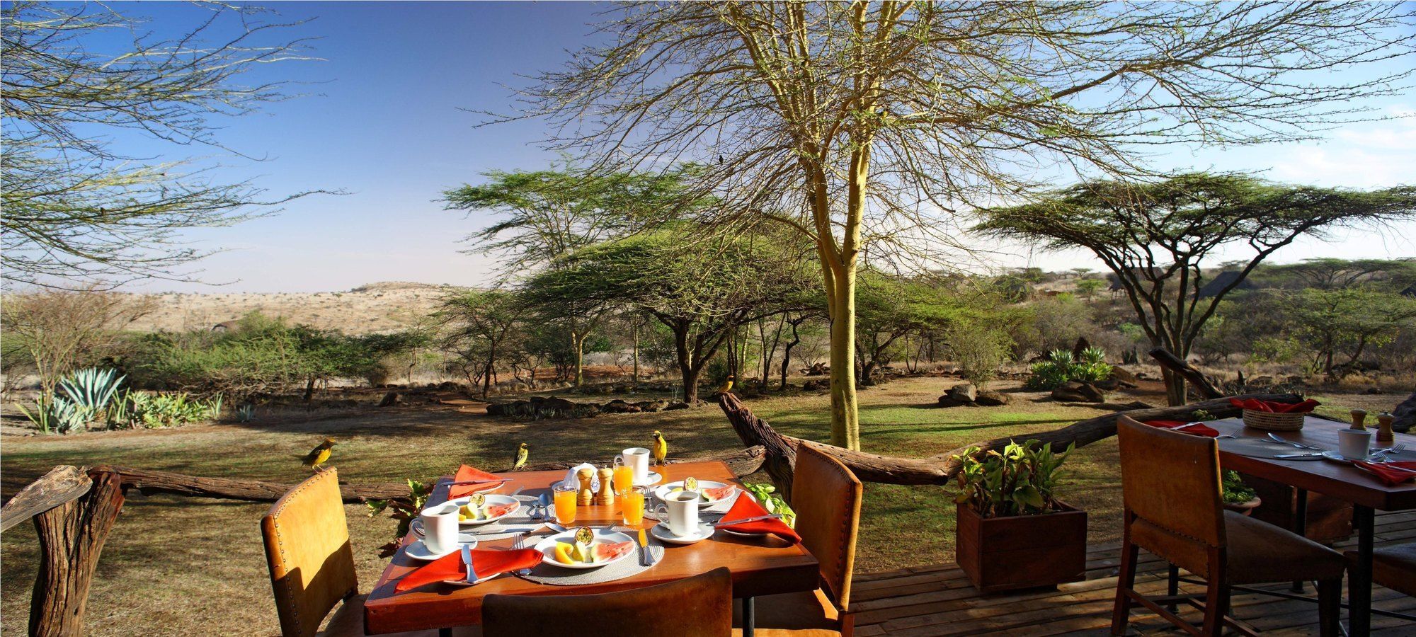 Elewana Lewa Safari Camp Hotel Timau Exterior photo